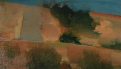 Abstracted Los Angeles Hillside