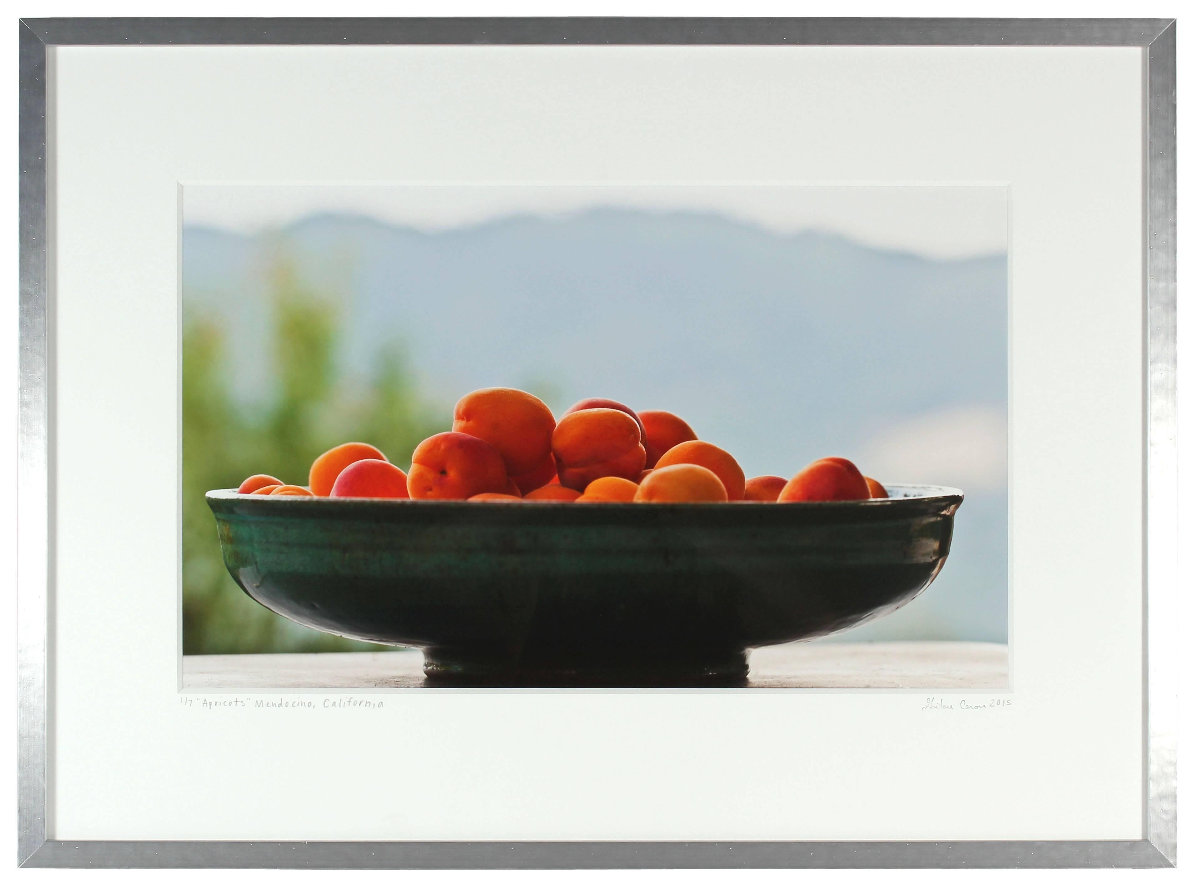 "Apricots" Contemporary Color Still-life Photograph, Mendocino, CA
