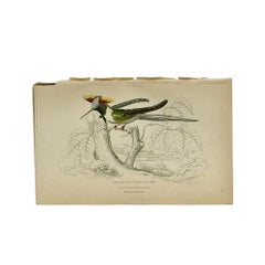 1830s Scottish Hand-Colored Hummingbird Engravings by Sir William Jardine