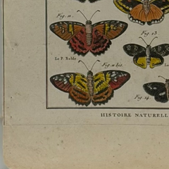 18th Century French Hand-Colored Butterfly and Moth Engraving, circa 1778