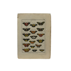 18th Century French Hand-Colored Butterfly and Moth Engraving, circa 1778