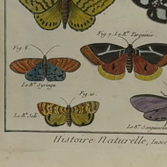 18th Century French Hand-Colored Butterfly and Moth Engraving, circa 1778