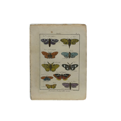 18th Century French Hand-Colored Butterfly and Moth Engraving, circa 1778