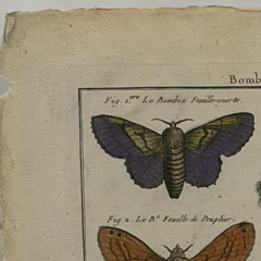 18th Century French Hand-Colored Butterfly and Moth Engraving, circa 1778