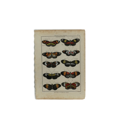 18th Century French Hand-Colored Butterfly and Moth Engraving, circa 1778