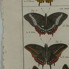 18th Century French Hand-Colored Butterfly and Moth Engraving, circa 1778