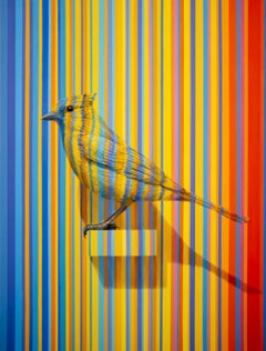Motivo "Migration stripe", dai blu ai rossi