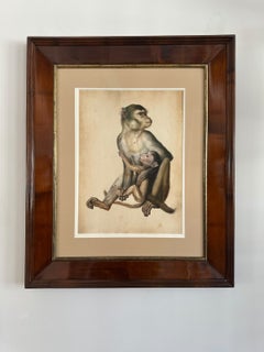 Eduard Gurk. "Maimon-Affe" (Macaque) original watercolor, c. 1818-1820.