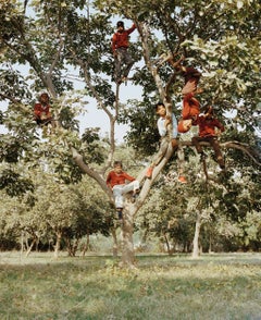 Children in a Tree 02 (limited edition of 8, large size)