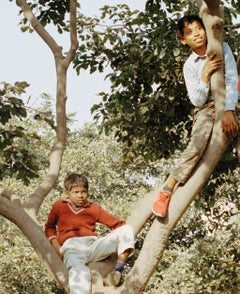 Children in a Tree 02 (limited edition of 8, large size)