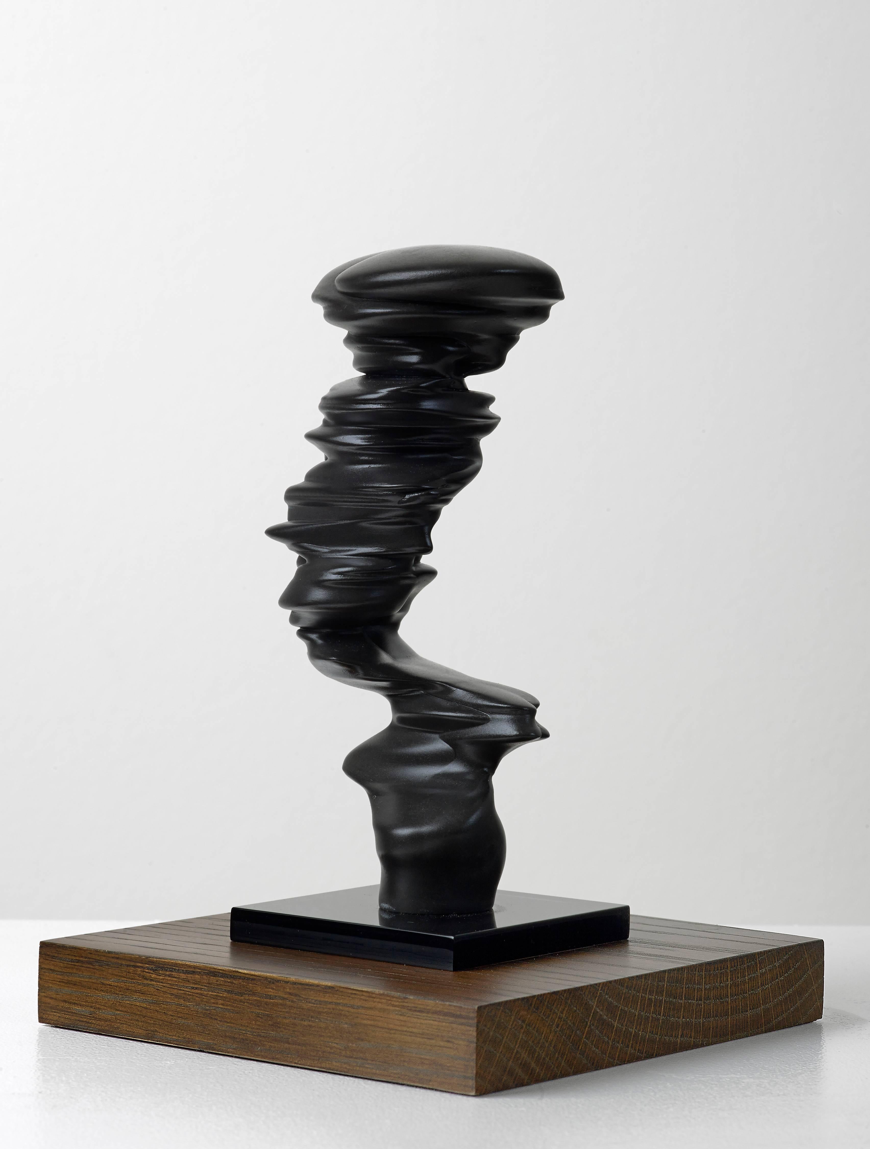 Bust - Sculpture by Tony Cragg