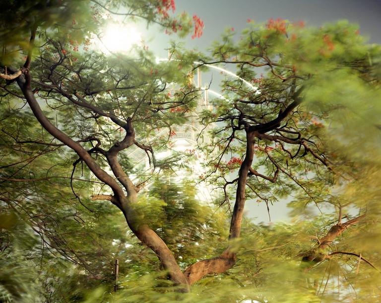 Peter Bialobrzeski Color Photograph - Paradise Now #32