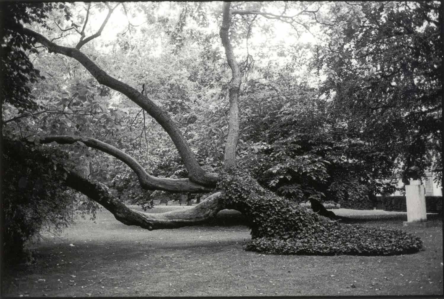 Christopher Rauschenberg Black and White Photograph - Jardin du Luxembourg, 1997