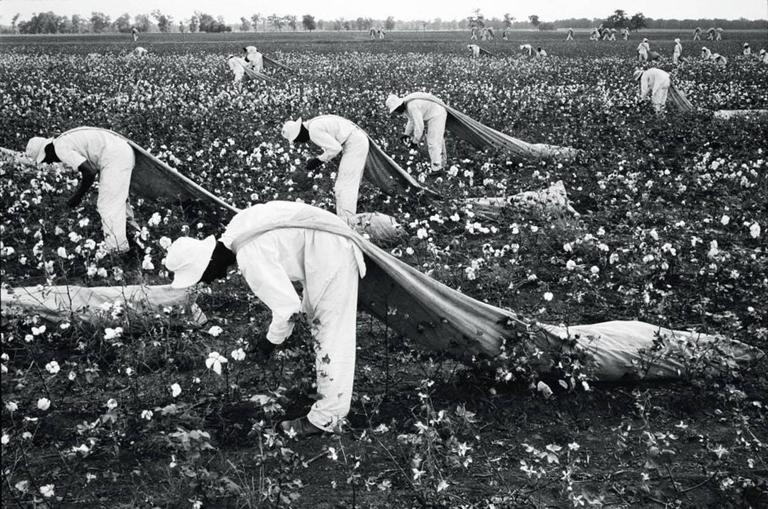 Danny Lyon Cotton Pickers, Texas at 1stDibs