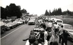 Vintage Woodstock (line of cars)