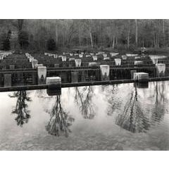 Weir Dam, Sullivan County, Tennessee (#2312) 11
