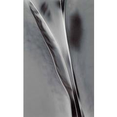 Untitled 8