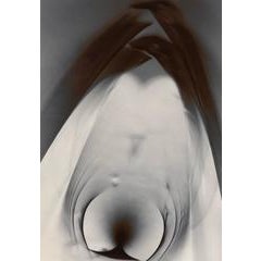 Photogram No. 8 2