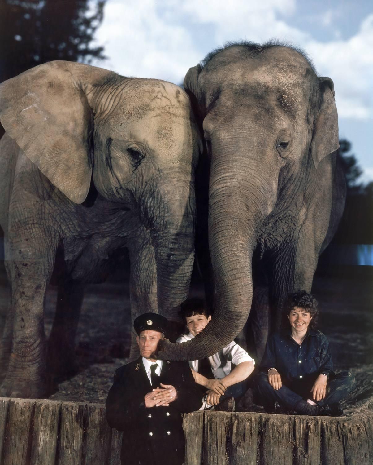 Neal Slavin Color Photograph - Elephant Keepers with Katie & Kumara, Whipsnade Park Zoo, UK