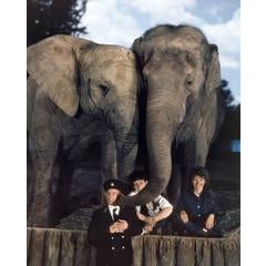 Elephant Keepers with Katie & Kumara, Whipsnade Park Zoo, UK 2