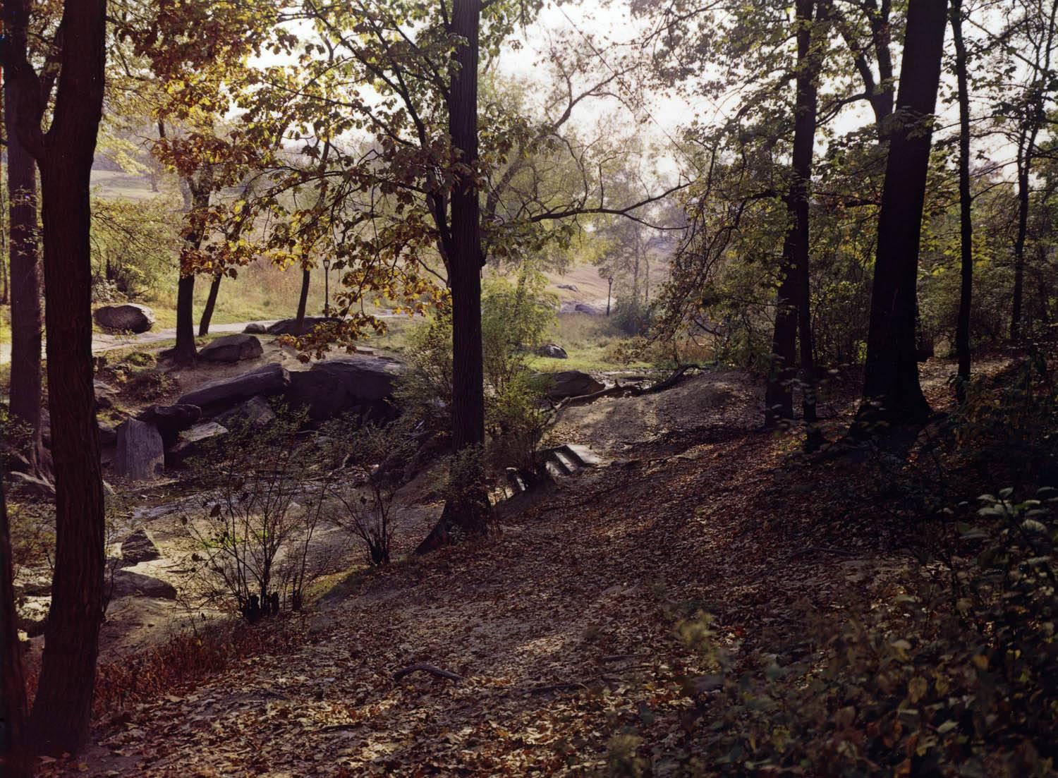 Evelyn Hofer Landscape Photograph - Central Park, New York