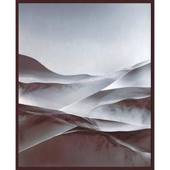 Photogram No. 19 1