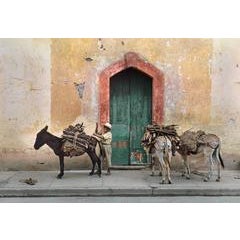 The Muleteer 3