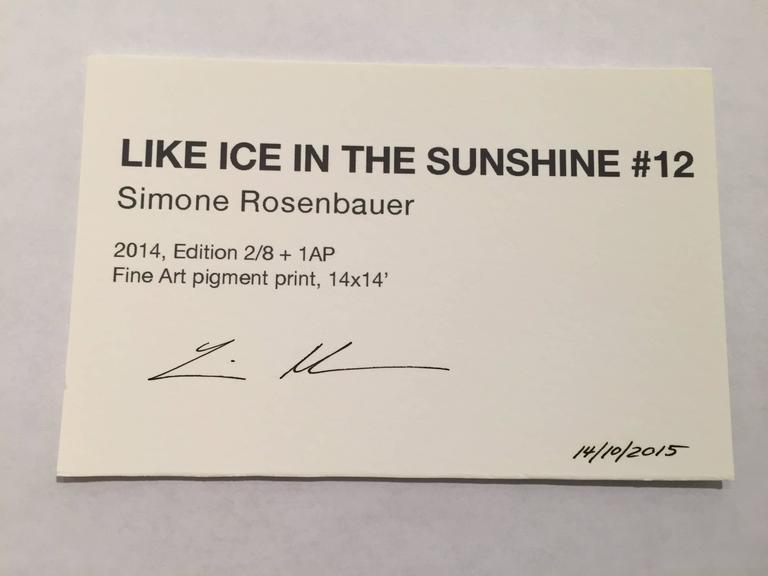 Like Ice in the Sunshine No. 12 - Photograph by Simone Rosenbauer