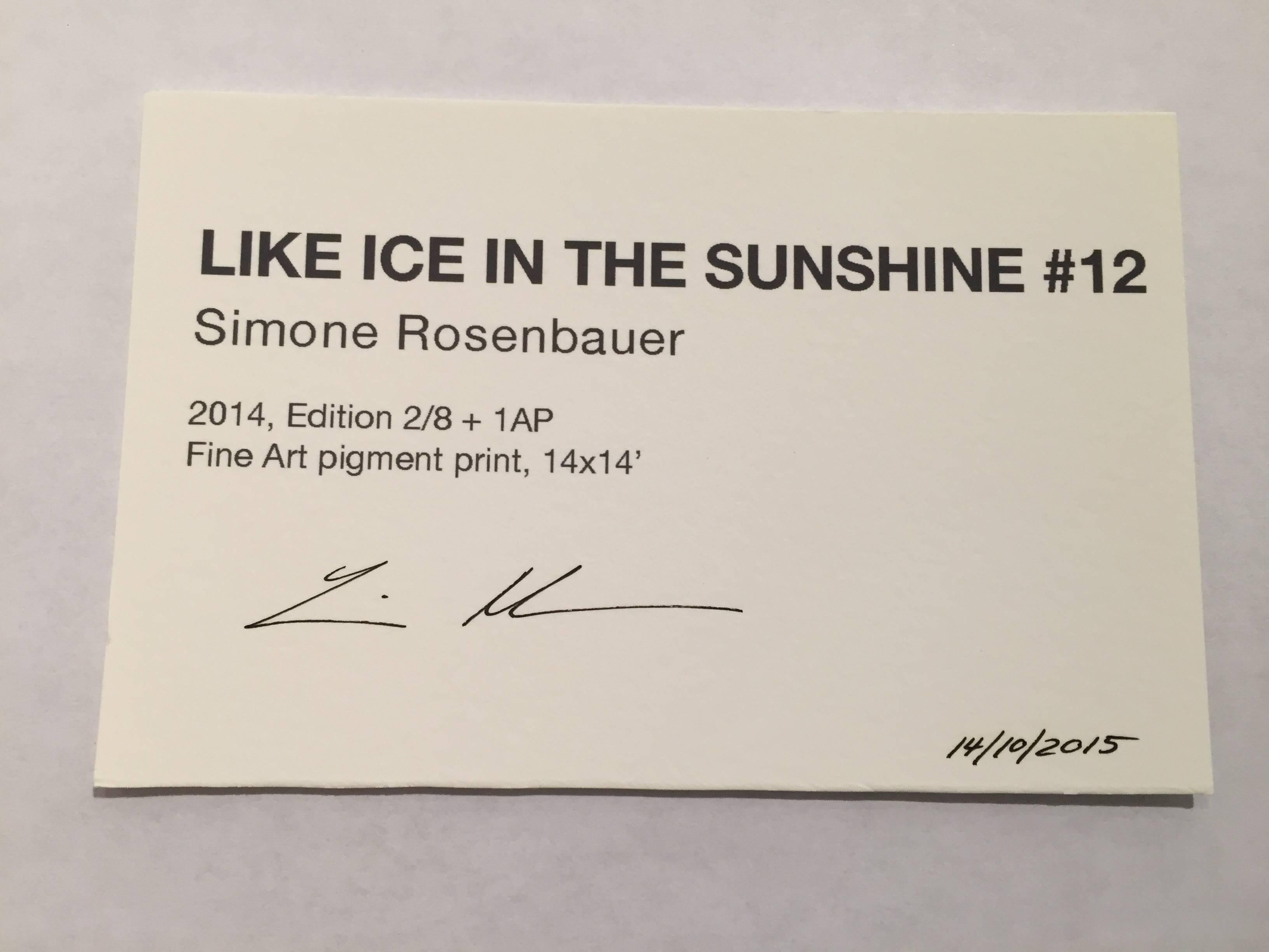 Wie Eis in der Sonne Nr. 12 – Photograph von Simone Rosenbauer