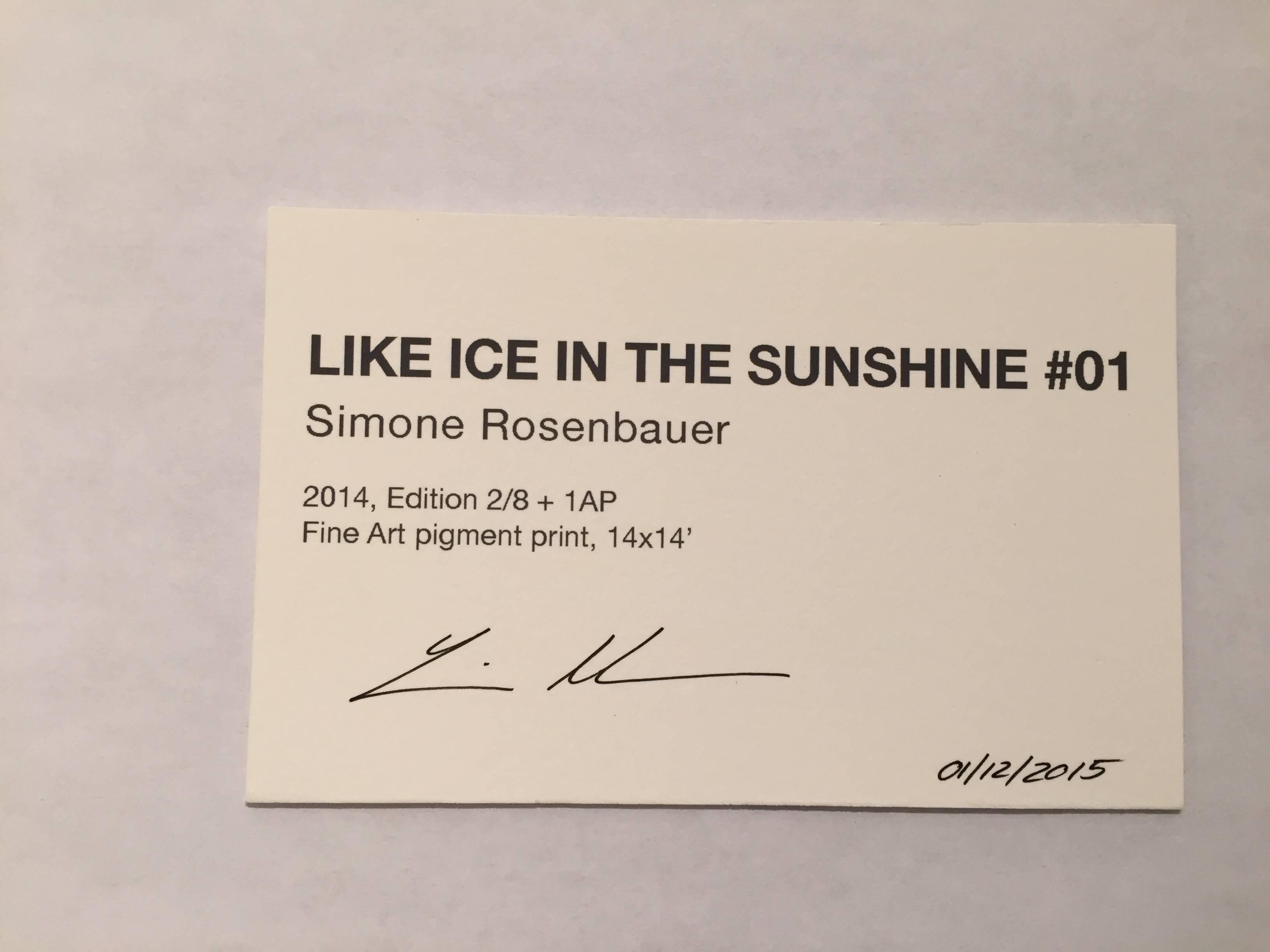 Like Ice in the Sunshine No. 01 - Photograph by Simone Rosenbauer