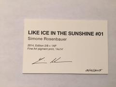 Come il ghiaccio al sole n. 01