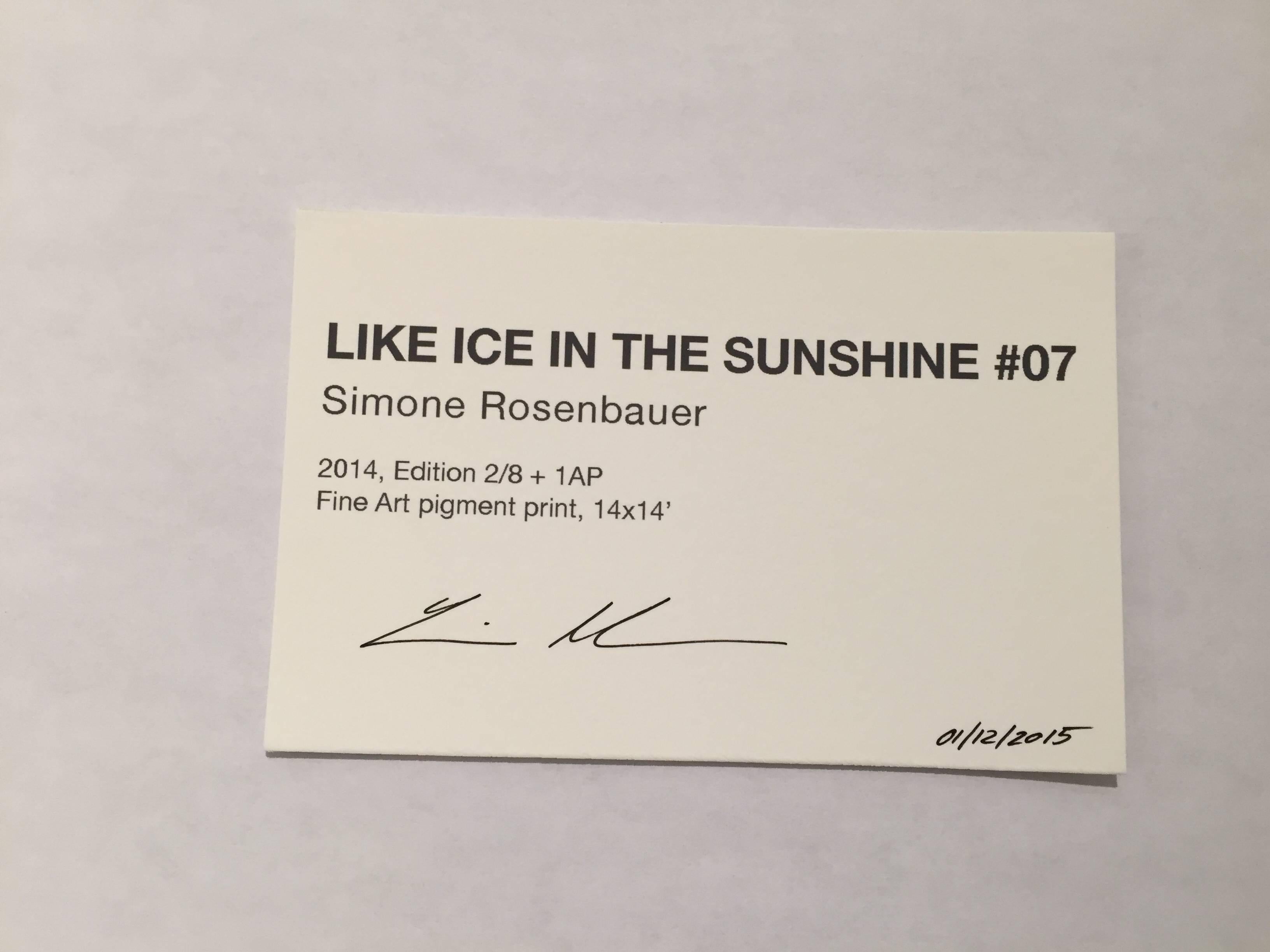 Like Ice in the Sunshine No. 07 - Photograph by Simone Rosenbauer