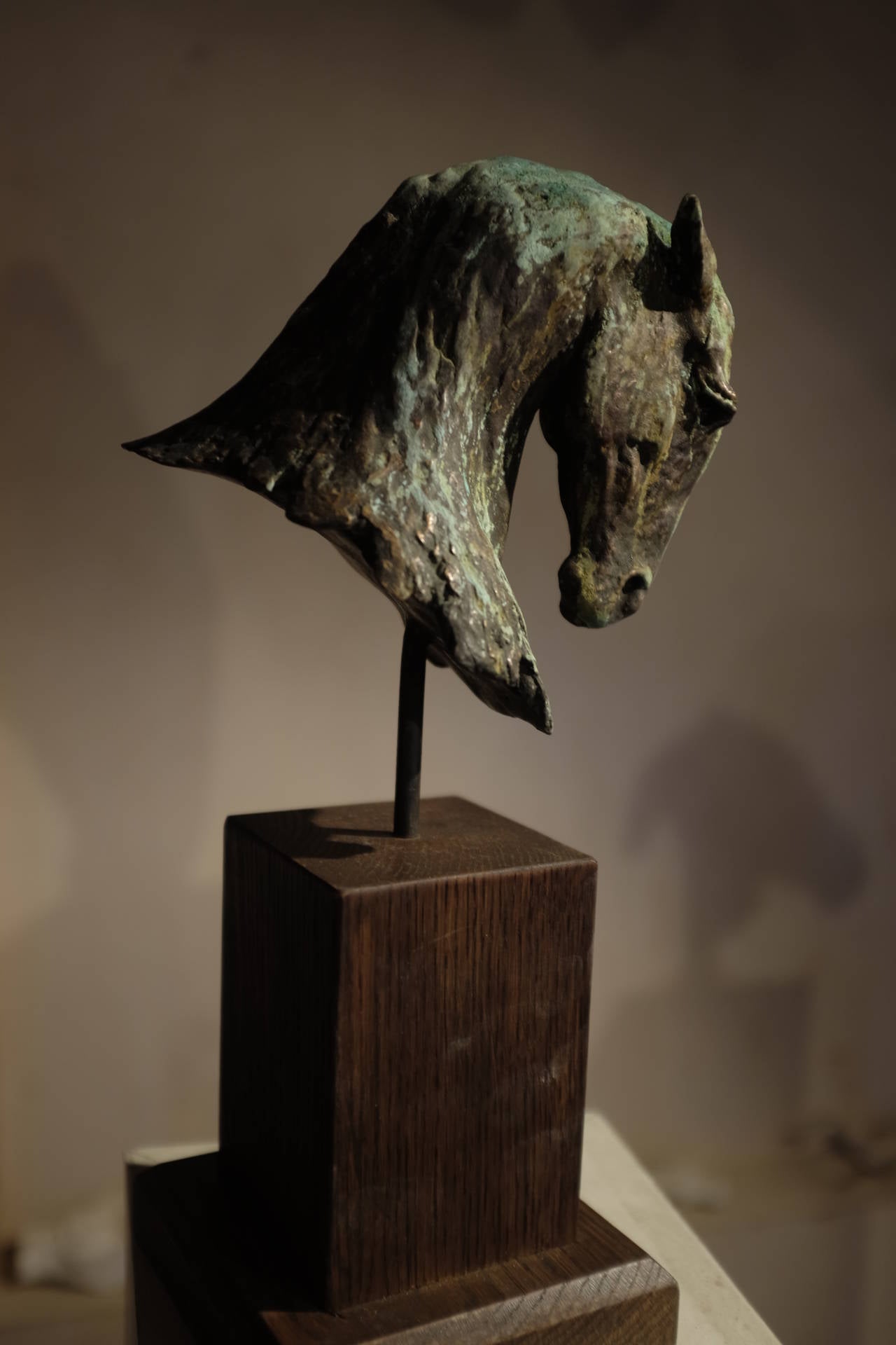 Nic Fiddian-Green Figurative Sculpture - Spanish Stallion
