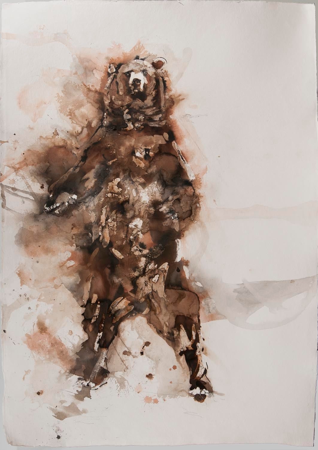 Paul Richards Animal Art - Brown Bear