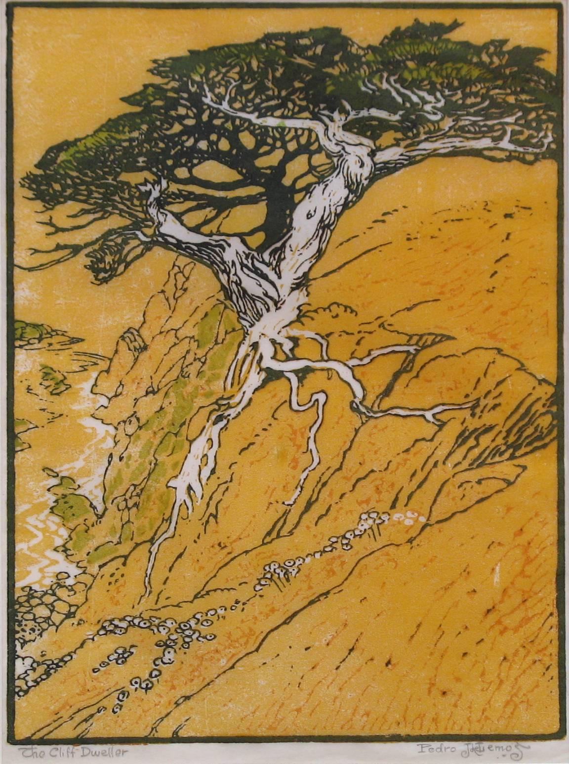 Pedro De Lemos Landscape Print - The Cliff Dweller