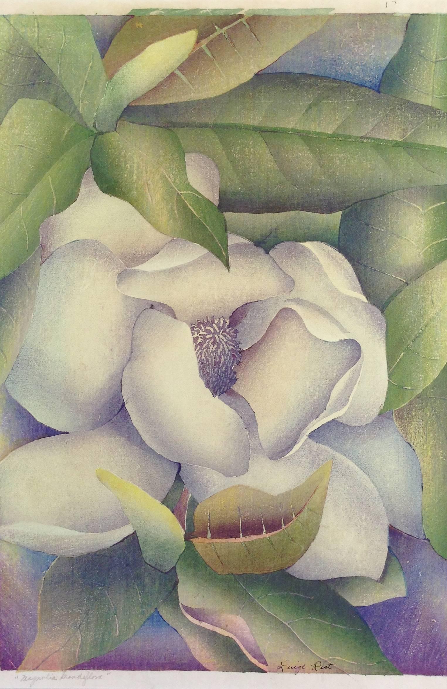 Luigi Rist Still-Life Print - Magnolia Grandiflora