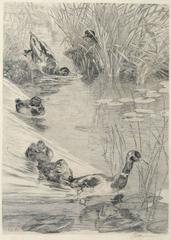 Roseaux et Sarcelles (Reeds and Ducks)