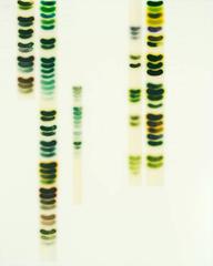 Full Spectrum - Green 1