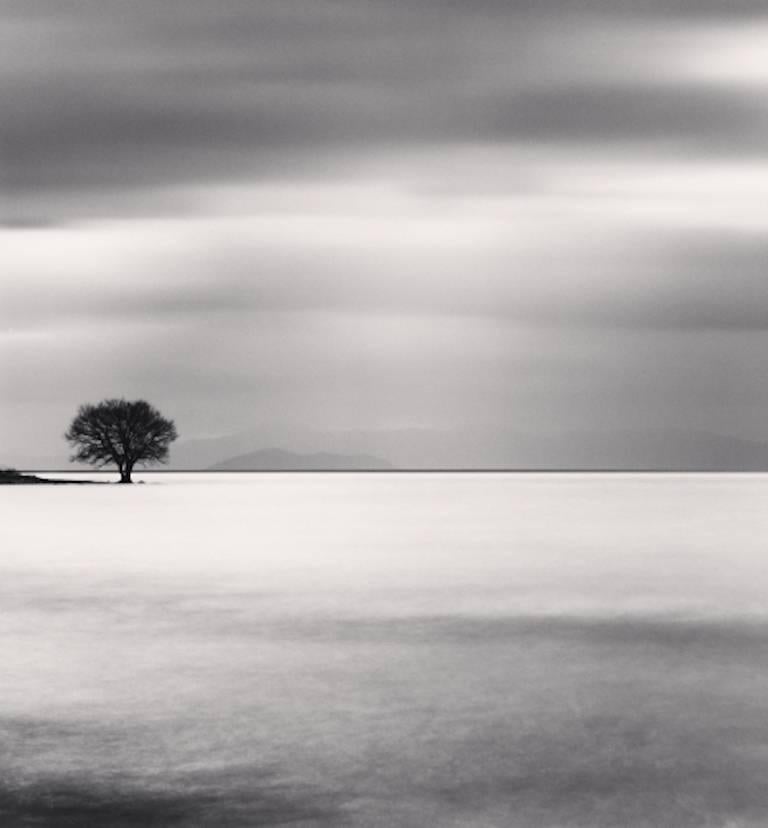 Michael Kenna Landscape Photograph - Biwa Lake Tree, Study 5, Omi, Honshu, Japan