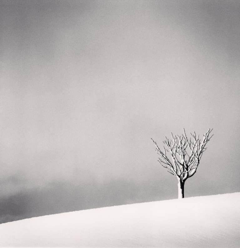 Michael Kenna Landscape Photograph - Snowfall, Numakawa, Hokkaido, Japan