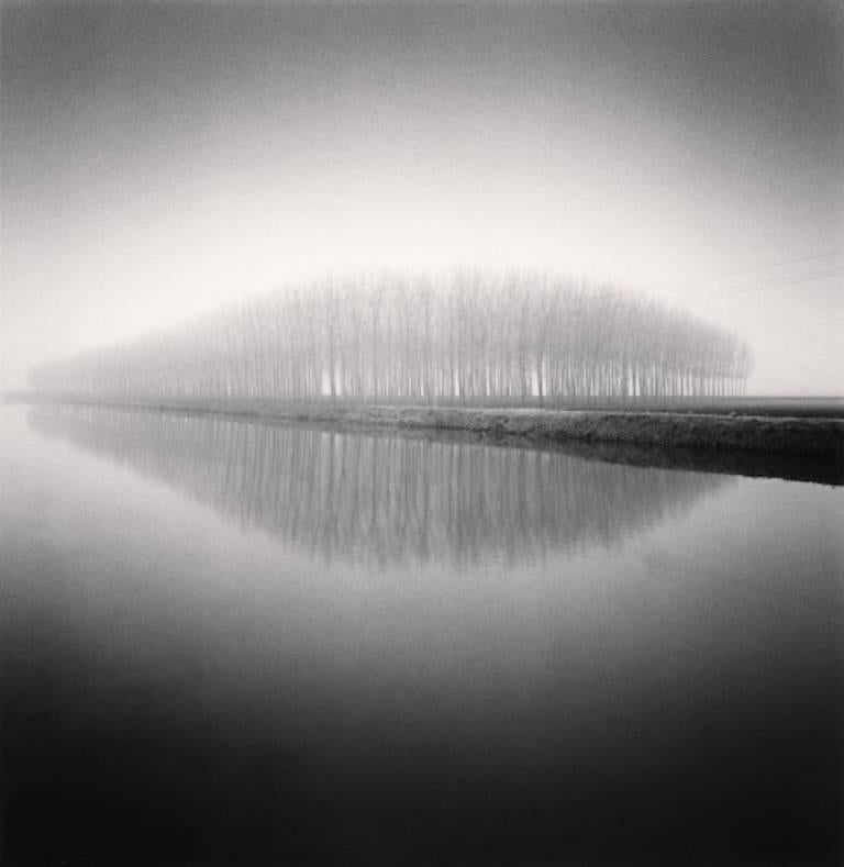 Michael Kenna Landscape Photograph - Copse Reflection, Vendramin, Veneto, Italy