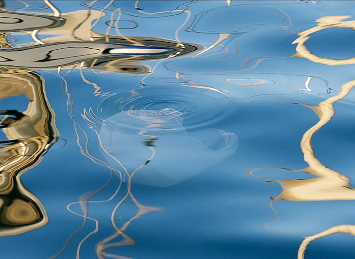 Barbara Vaughn Abstract Photograph - Marine Debris - Plastic Bag