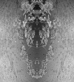 Head of my favorite horse