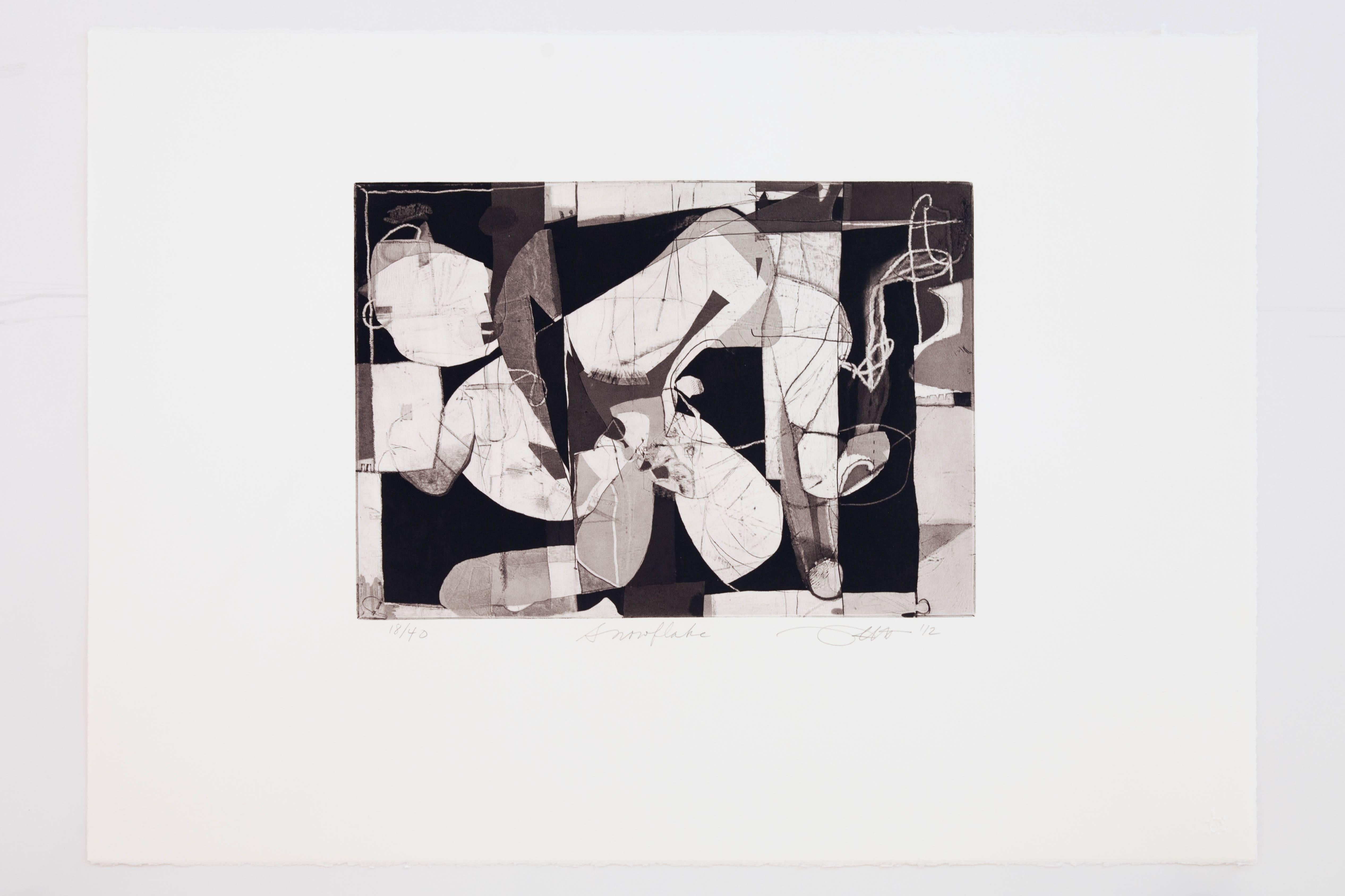 David Kelso Abstract Print - Snowflake