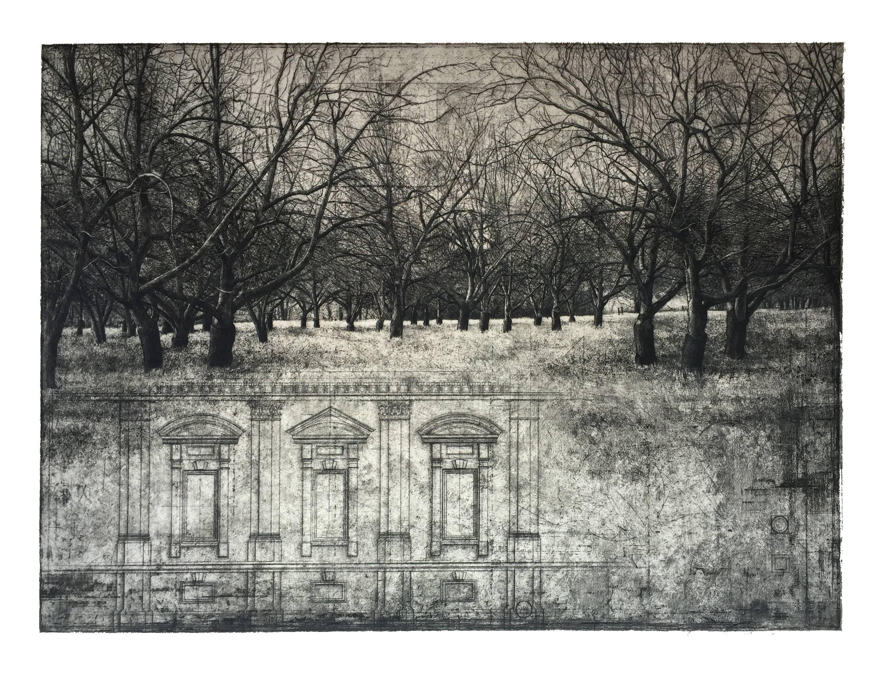 David Smith-Harrison Landscape Print - Orchard (trial proof)