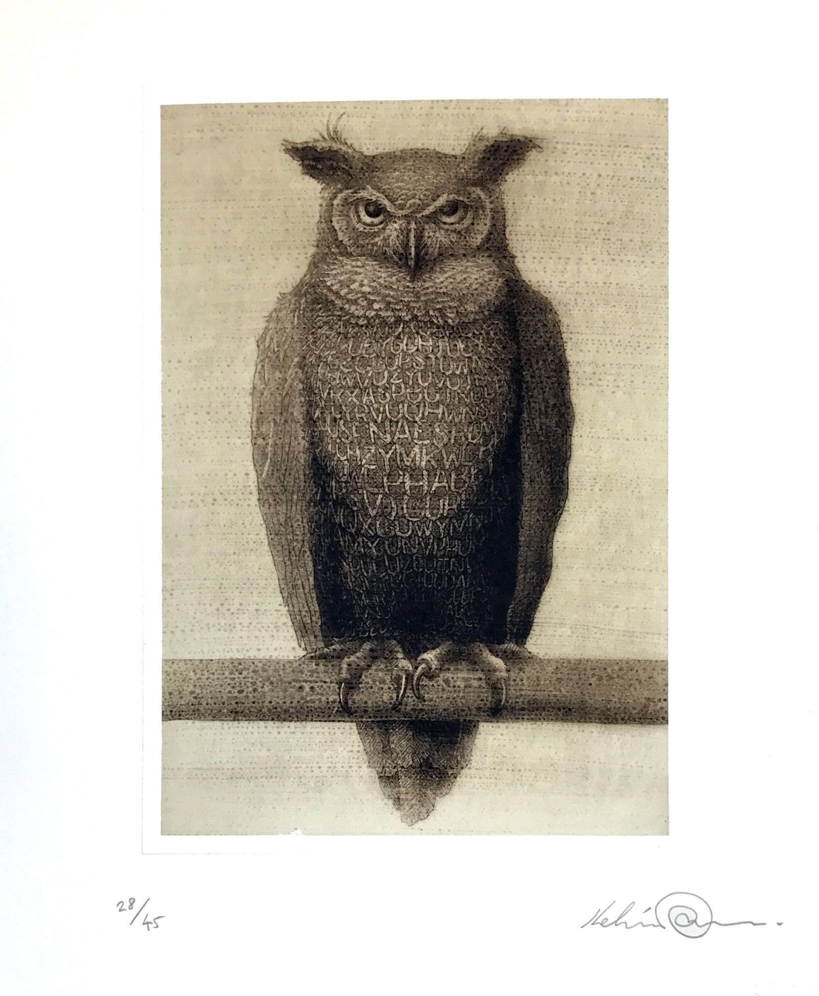 Kelvin Mann Animal Print - Owlphabet
