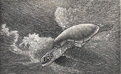 «Tortuga Marina», lámina con temática de conservación de una tortuga, obra de Jos Sances, edición de 25 ejemplares