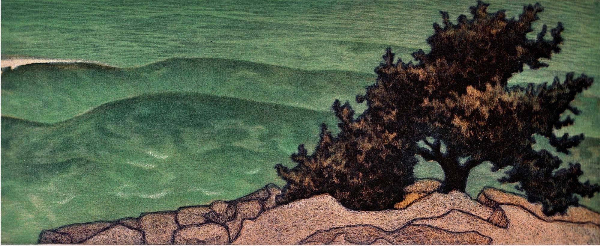 James Groleau Landscape Print - Lone Tree Schoodic Point