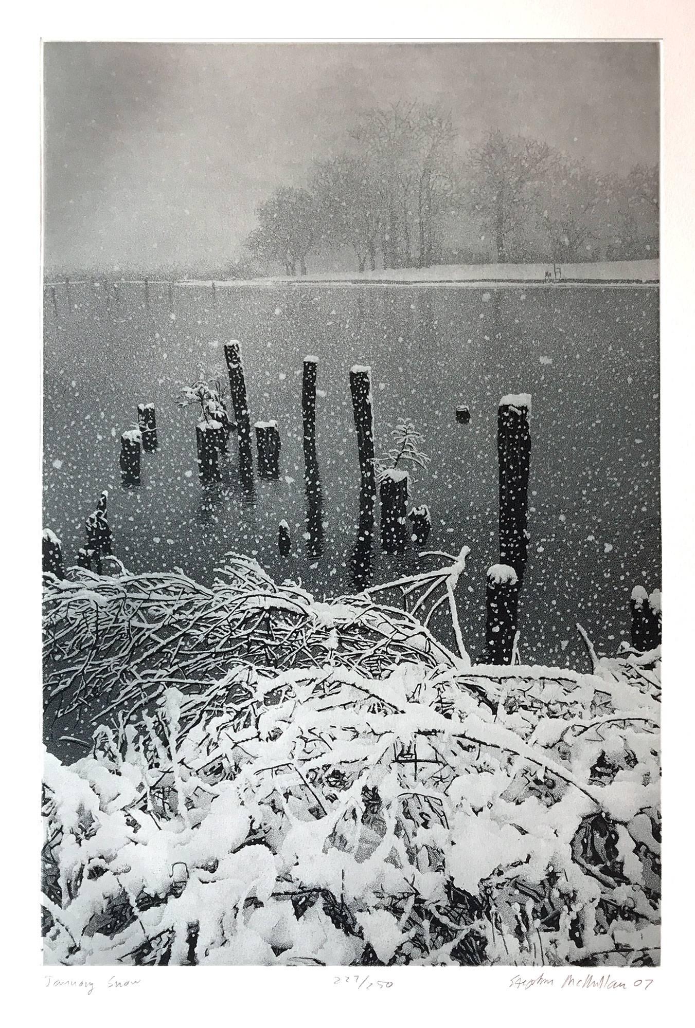 Stephen McMillan Landscape Print - January Snow