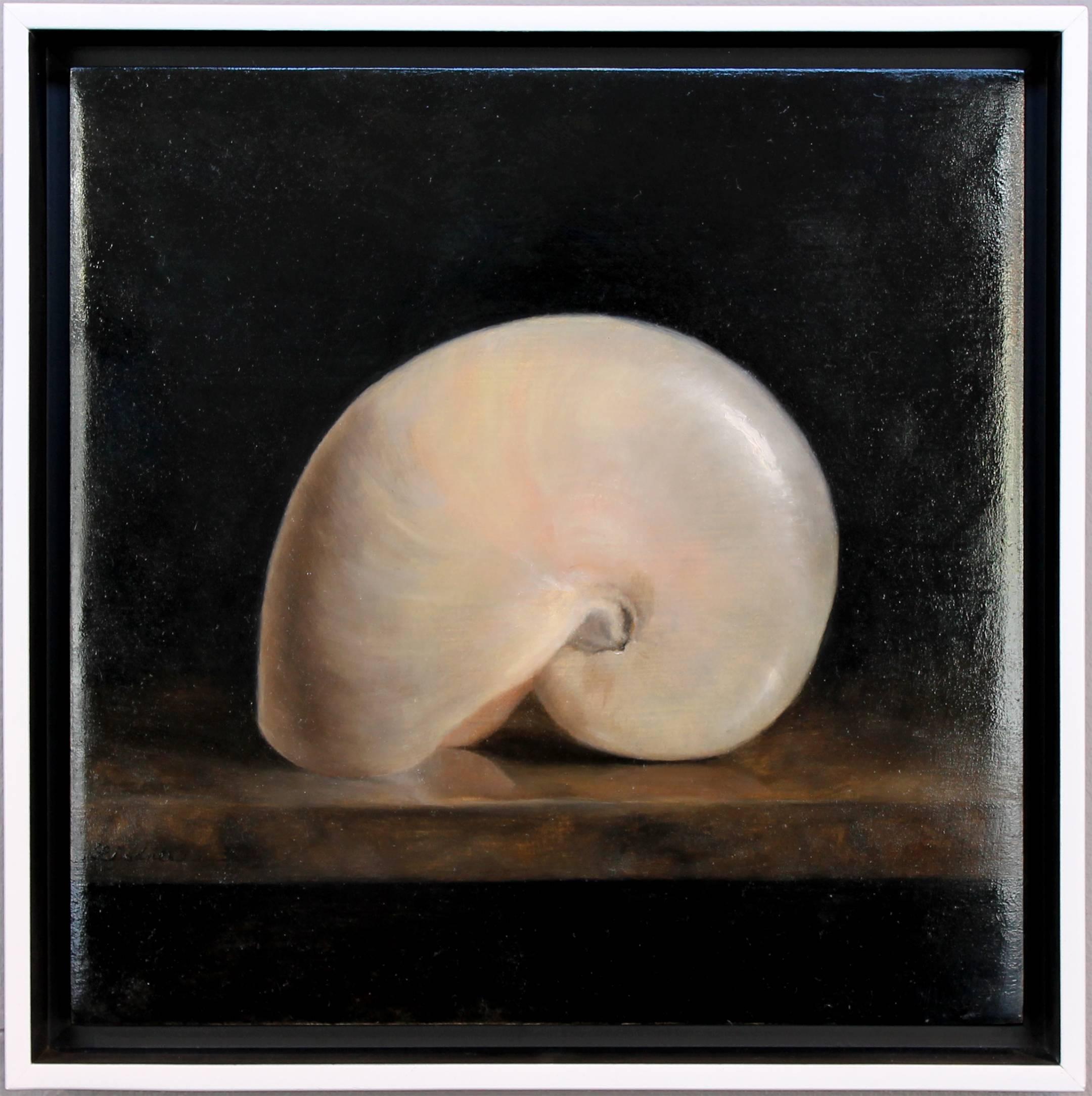 A.C. Lindner Still-Life Painting - Nautilus